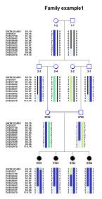 haplopainter-example1_thumb