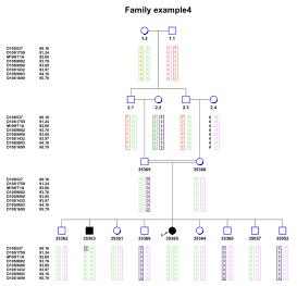 haplopainter-example4_thumb